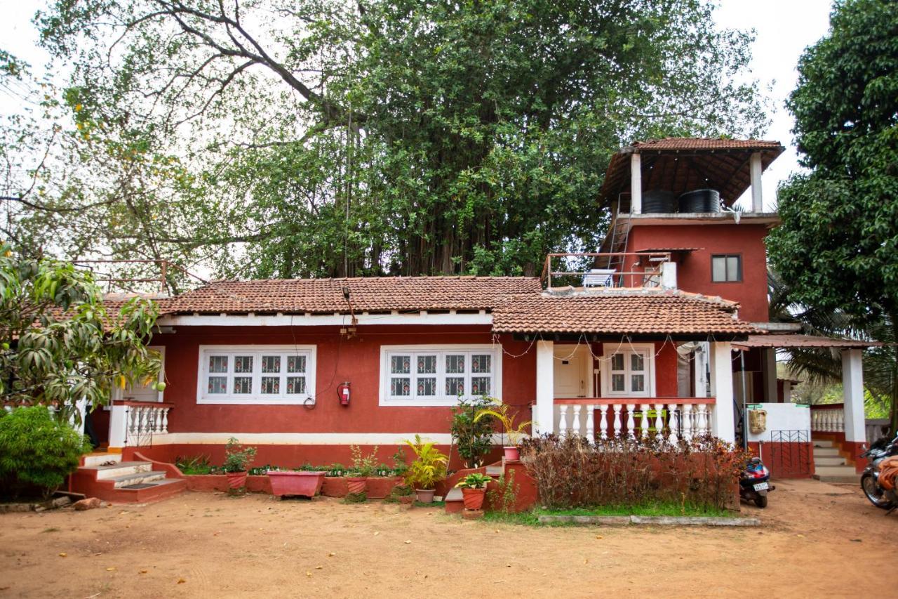 Nomadgao Vila Nova - Comfort, Great Views, Fast Wifi & Interesting People Anjuna Exterior foto